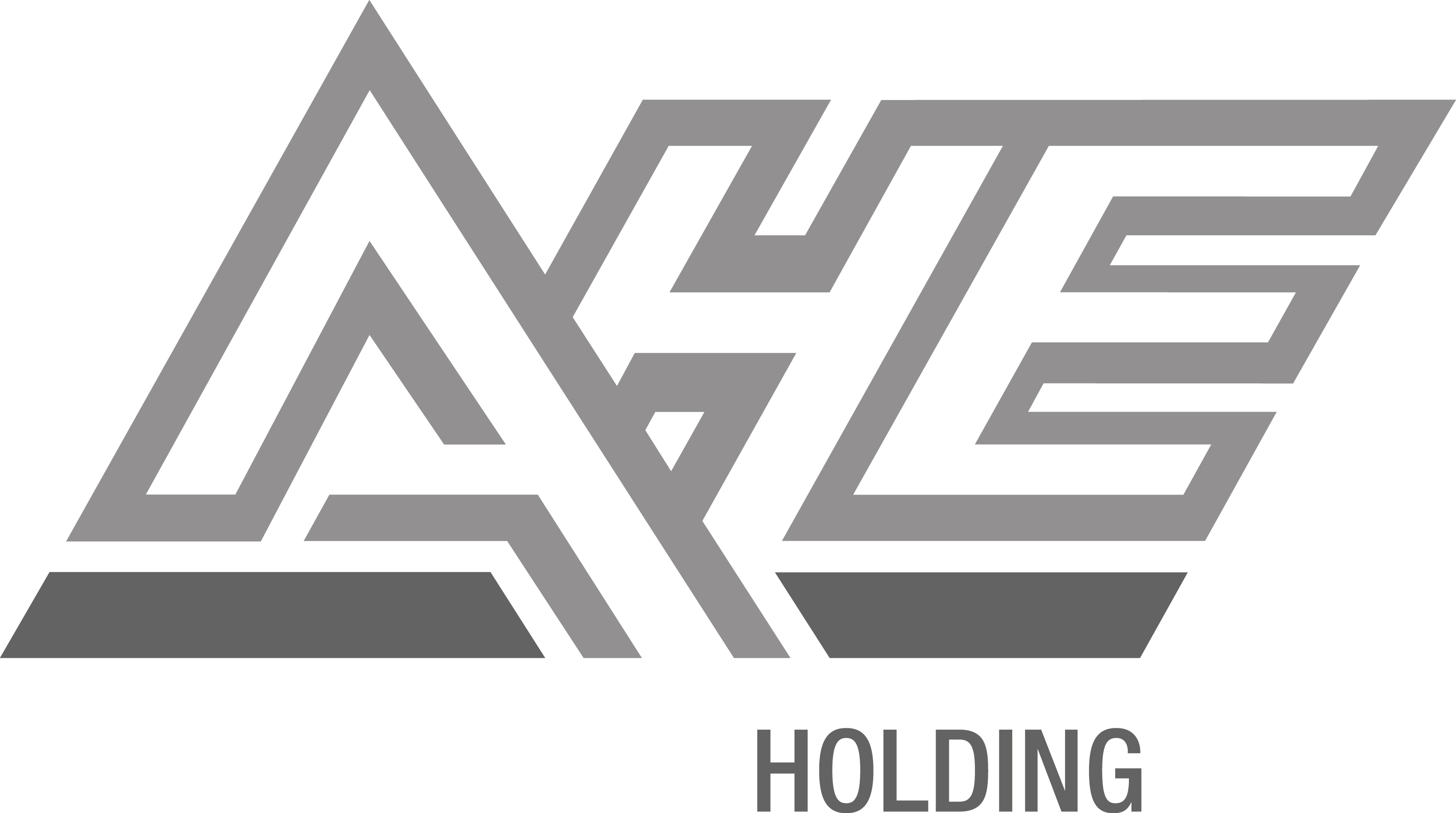 AHE Holding GmbH